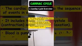 CARDIAC CYCLE🫀🫰🏻🤩 shorts nursing mbbs [upl. by Mada]