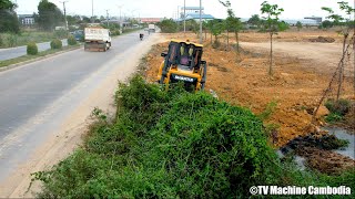 Excellent Techniques SHANTUI Dozer Forest Cutting Slope And Spreading Soil [upl. by Elok]