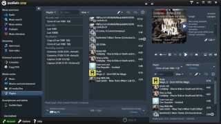 Audials 12 in 120 Seconds Manage your Music Collection with the Media Center [upl. by Elisabetta545]