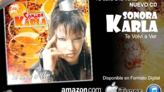 CLASICOS DE LOS 80 MIX  KARLA DE ARGENTINA 2014 [upl. by Eterg]