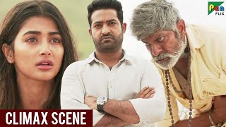 Aravind Sametha  Climax Fight Scene  Jr NTR Pooja Hegde Jagapathi Babu  Hindi Dubbed Movie [upl. by Slaughter239]