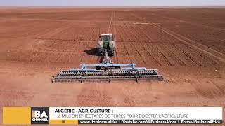 ALGÉRIE 16 MILLION D’HECTARES DE TERRES POUR BOOSTER L’AGRICULTURE [upl. by Indys]