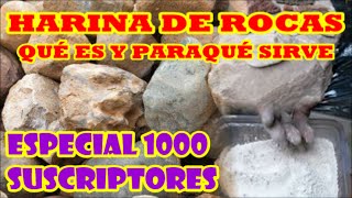 HARINA DE ROCAS QUÉ ES Y PARAQUÉ SIRVE quotquotESPECIAL 1000 SUSCRIPTORES Y 100000 VISITASquotquot [upl. by Ertsevlis466]