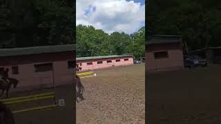 Czerwiec 2024 horse showjumpers fypシ゚viral equestrian showjumpingpony equestrianshow [upl. by Piderit]