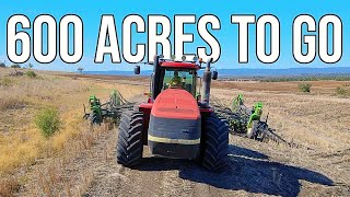 We Aren’t BUSY Enough… Apparently  Planting 2023  Farming in Australia  Vlog 158 1 [upl. by Harriet495]