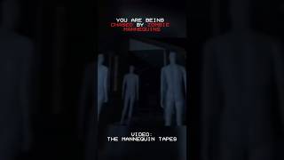 Zombie Mannequins ARE CHASING YOU  The Mannequin Tapes [upl. by Mandych925]