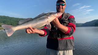 Jezero Celije Big zander fishing [upl. by Durware813]