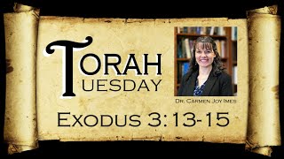 Torah Tuesday  Exodus 31315 [upl. by Senhauser]