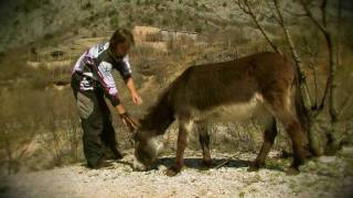 Red Bull Donkey Cross Road Trip 2011 [upl. by Kiah]