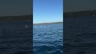 Starnberger See life beautiful viralvideo nature beach ocean [upl. by Beard]