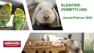 Kleintiervermittlung  JanuarFebruar 2024 Tierheim Hannover TV [upl. by Sutton]