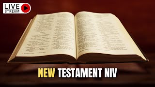 The Holy Bible  Complete NEW TESTAMENT Audio Bible NIV Dramatized [upl. by Taylor294]