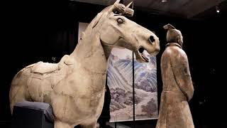 Terracotta Warriors the horse in ancient China [upl. by Amada]