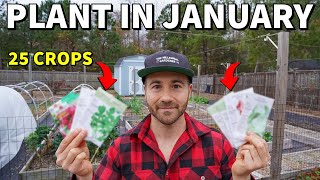 25 Veggies You Can Plant In January RIGHT NOW [upl. by Einnaffit]