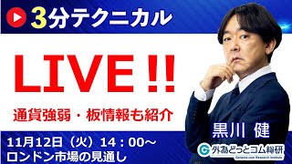 見通しズバリ！3分テクニカル分析「ライブ‼」 ロンドン市場の見通し 2024年11月12日 [upl. by Ettenna]