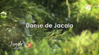 La Jungle Danse  Danse de Jacala [upl. by Mook]