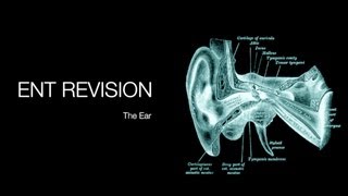 ENT Revision  The Ear [upl. by Naie]