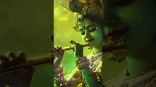 Bansuri ki dhun 🙏❤️youtubeshorts radharanibhajan peaceful short viralvideo [upl. by Yewed623]