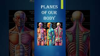 quotLearn the Three Body Planes Sagittal Frontal and Transversequot norcet nursingexam [upl. by Norvell]