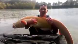 Woods Lake Domaine de Goncourt France First Visit Big Mandarin Catfish [upl. by Stambaugh]