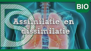 Examen biologie  Assimilatie en dissimilatie Stofwisseling in cellen [upl. by Coridon]