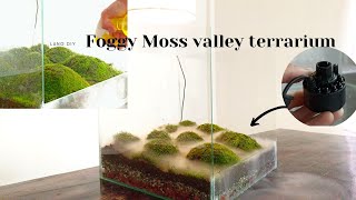 how to make a foggy moss valley terrarium with a mist maker paludarium aquaterrarium [upl. by Bullivant]