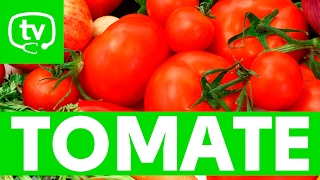 El tomate y sus propiedades nutritivas [upl. by Eneja]