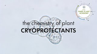 The Chemistry of Plant Cryoprotectants [upl. by Lionello]