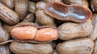 How to Make Southern Boiled Peanuts in the Crockpot [upl. by Culver785]