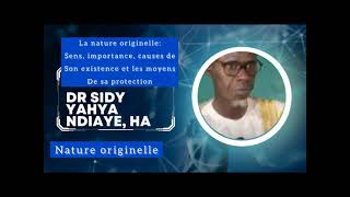 LA NATURE ORIGINELLE IMPORTANCE CAUSE DE LEXISTENCE ET  SA PROTECTION DR SIDY YAHYA NDIAYE HA [upl. by Genny]