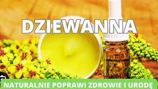 Dziewanna  naturalnie poprawi twoje zdrowie i urodę Właściwości i zastosowanie [upl. by Ardme174]