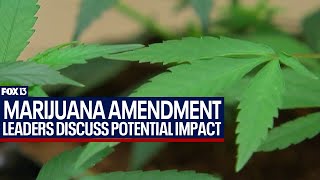 Potential impact of recreational marijuana amendment [upl. by Eimas]