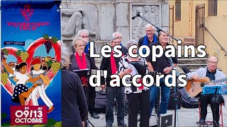 Les copains daccords [upl. by Notsa]