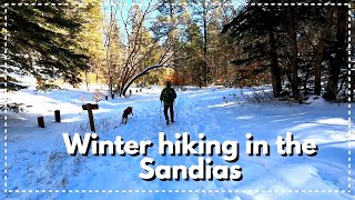 Snow hike in the East Sandia Mountains  Faulty Acequia trail loop  Albuquerque New Mexico [upl. by Ximena]