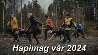 Hapimag vår 2024 [upl. by Natascha]