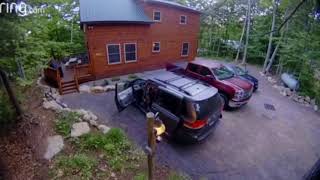 Black bear opens car doors brings 4 cubs inside in Adirondacks [upl. by Eicyak]