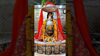 Om namah shivaya 🙏🙏🙏devotional [upl. by Fe]