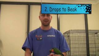 4 helpful tips on Worming your birds [upl. by Hiller]