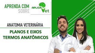 Anatomia Veterinária  Planos e Eixos amp Termos Anatômicos [upl. by Neau19]