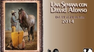 Una Semana Con David Alonso Julio 2014 [upl. by Slaughter]