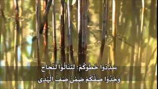 جددوا يا شباب مع الكلمات Jaddidu Ya Shabab wLyrics [upl. by Noyek]