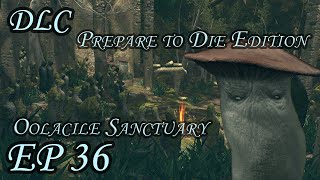 DarkSoul ไทย  36 DLC เห็ดพูดได้ กับผู้โชคร้ายที่มาบุก [upl. by Ecirtaed]