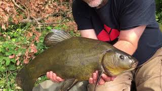 Tench Fishing On An Old Gravel Pit [upl. by Broderick]