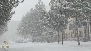 Winterwonderland Extreme Winter SNOWSTORM  Sweden Stockholm  4K [upl. by Tham460]