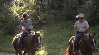 Experience Biltmore  Horseback Riding [upl. by Leveroni]