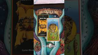 Cancer Zodiac Oracle  Nov 11  17 2024 oracle zodiac cancer divination evolution [upl. by Atikin]