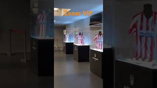 Zonas VIP Resumen temporada [upl. by Nottage589]