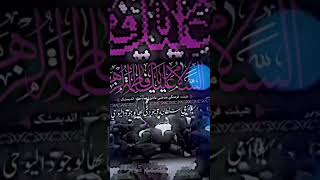 ساله الى امي لطميات امي صلطانت وجودي [upl. by Nwonknu966]