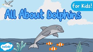 All About Dolphins for Kids  Dolphin Facts 🐬 [upl. by Irakuy]