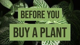 Before You Buy That Plant  Unsolicited Plant Advice [upl. by Lsil556]